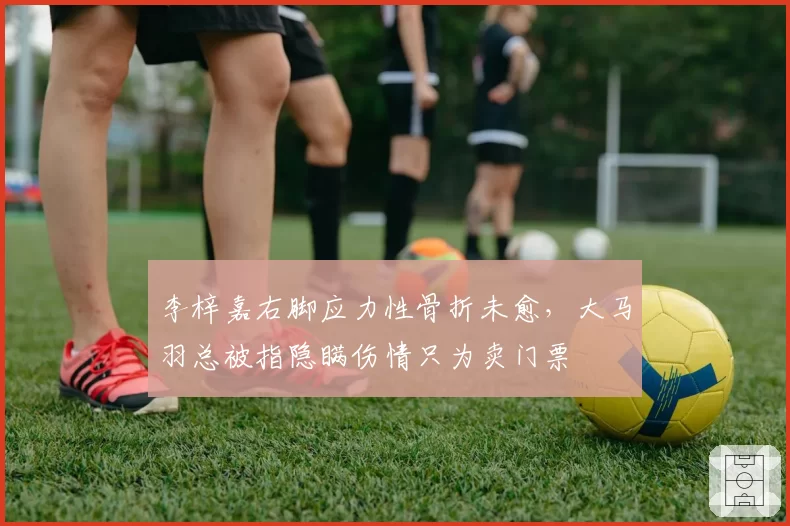 李梓嘉右脚应力性骨折未愈,大马羽总被指隐瞒伤情只为卖门票