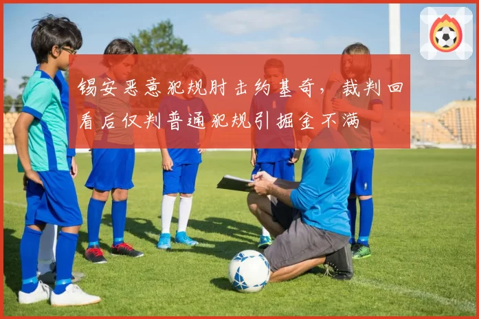 锡安恶意犯规肘击约基奇,裁判回看后仅判普通犯规引掘金不满