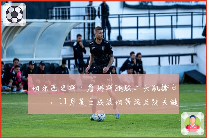 切尔西里斯·詹姆斯腿股二头肌撕裂,11月复出成波切蒂诺后防关键