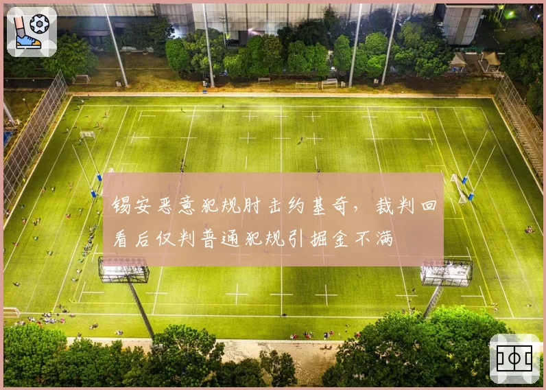 锡安恶意犯规肘击约基奇,裁判回看后仅判普通犯规引掘金不满