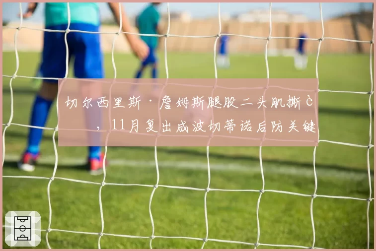 切尔西里斯·詹姆斯腿股二头肌撕裂,11月复出成波切蒂诺后防关键
