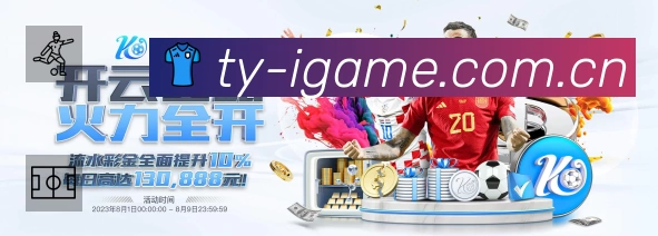 爱游戏中国服务价值